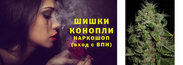 apvp Магадан