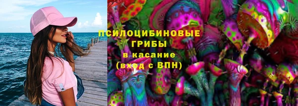 apvp Магадан