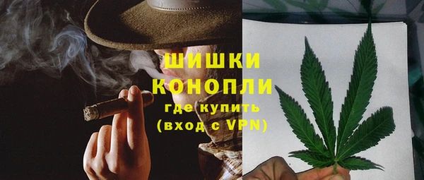 мдпв Бердск